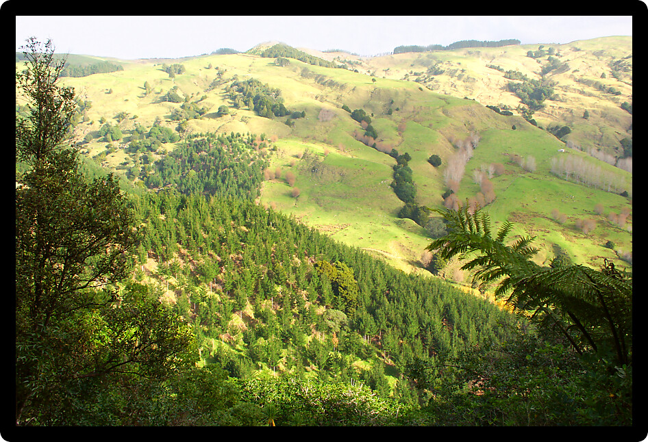 View of the hilly terrain of the North Island of New Zealand.