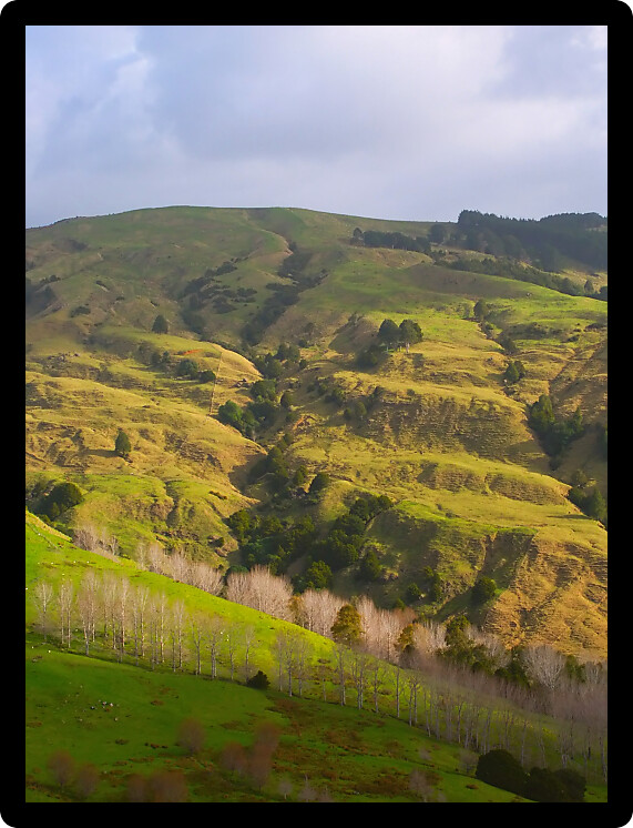 View of the hilly terrain of the North Island of New Zealand.
