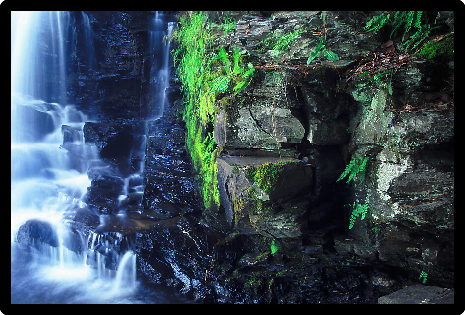Vegetation grows along a dark cliff of Powerhouse Falls in northern Michigan.