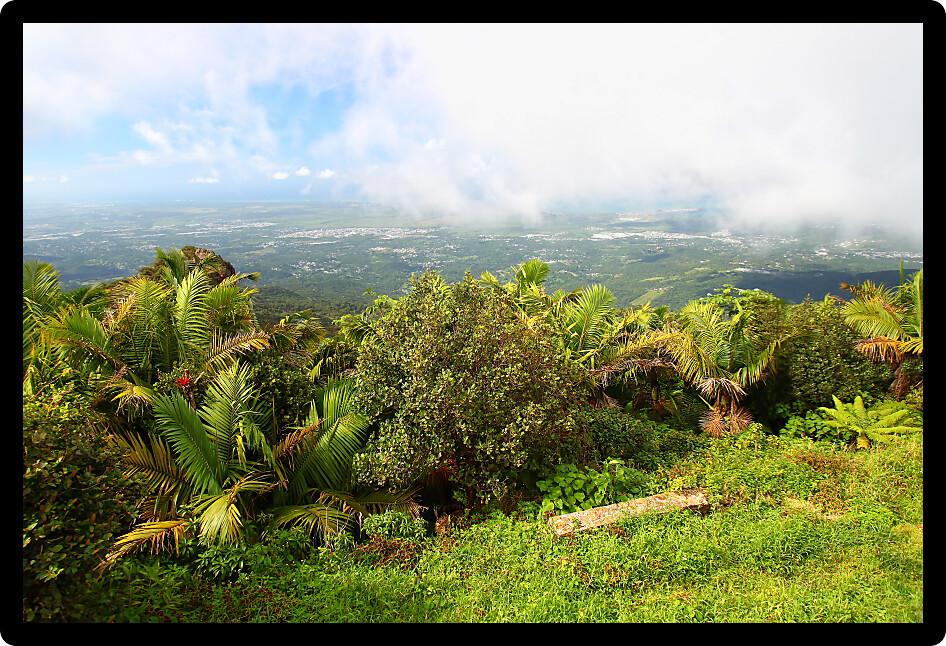View of the Puerto Rican landscape from El Yunque Peak.