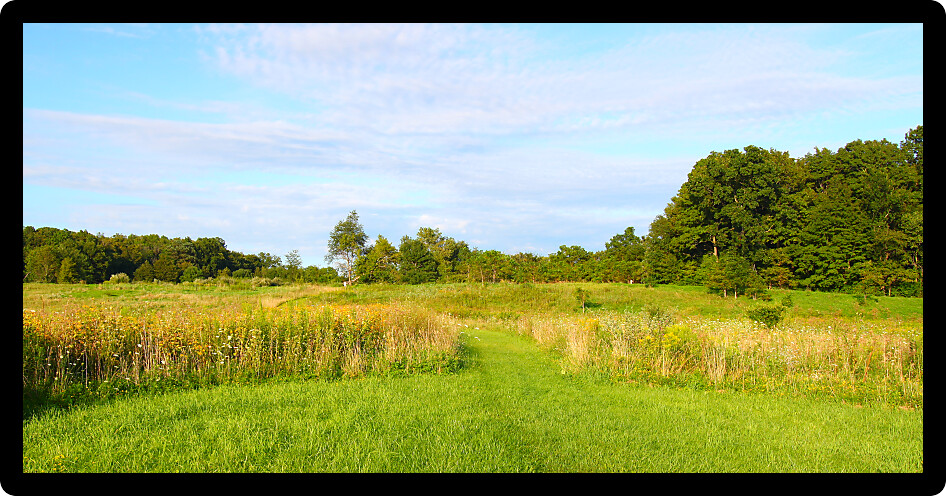 Hiking trail through the prairie at Shabbona Lake State Park in Illinois.