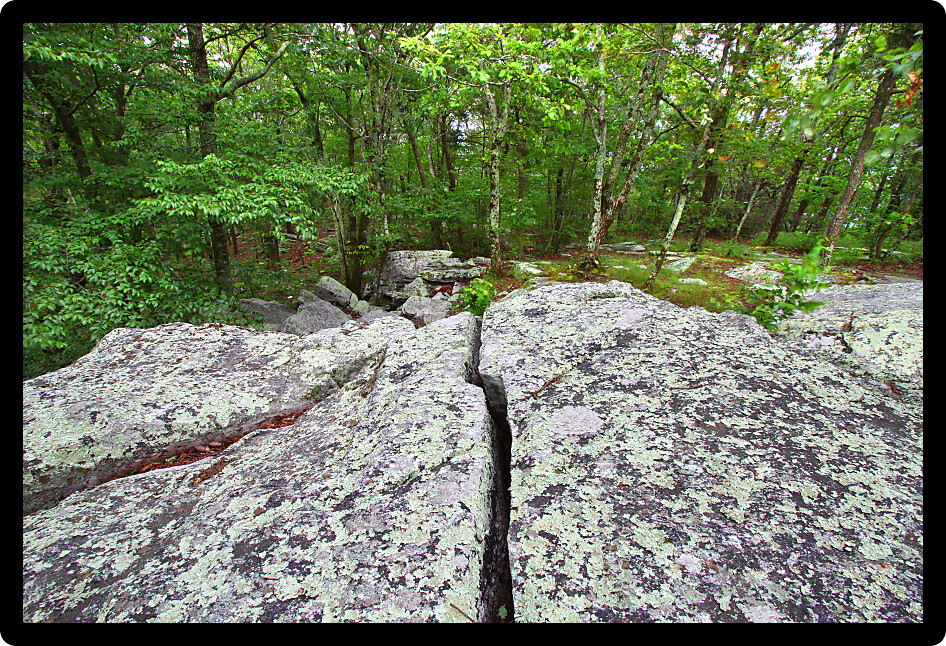 Rocks scatter the landscape at Cheaha State Park in Alabama.