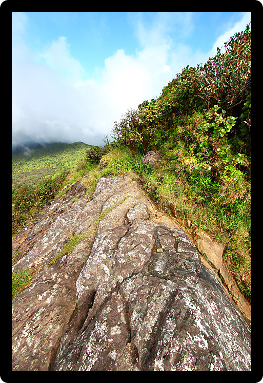Low clouds sweep over the rainforest in the mountains of El Yunque National Forest Puerto Rico.