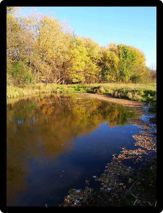 Beautiful fall colors reflect off the Kishwaukee River in Boone County Illinois.