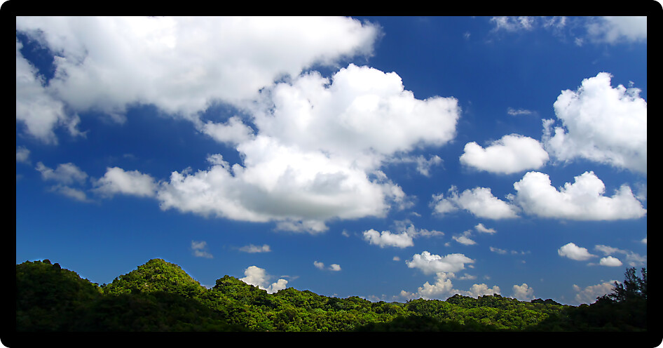 Beautiful landscape of Guajataca Forest Reserve in Puerto Rico.