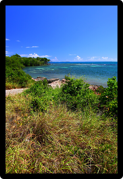 Caribbean coastline at Guanica Dry Forest Reserve in Puerto Rico.