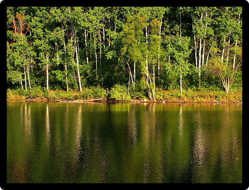Beautiful colors reflect off a pond at Kettle Moraine State Forest in Wisconsin.