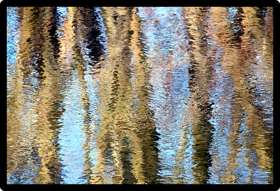 Trees reflect off the surface of the Kishwaukee River in northern Illinois.