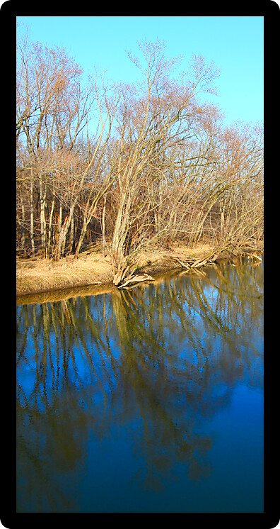 Trees reflect off the Kishwaukee river in northern Illinois.