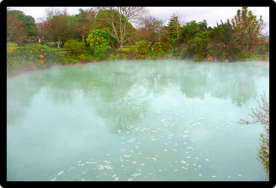 Beautiful hot spring at Kuirau Park in Rotorua New Zealand.