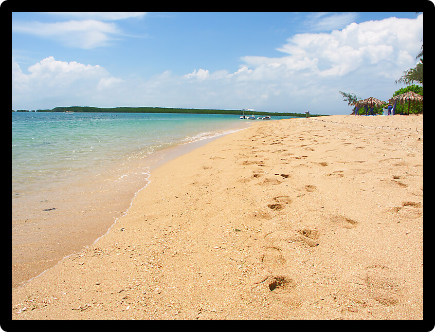 Tropical beach on the Low Isles in beautiful Queensland Australia.