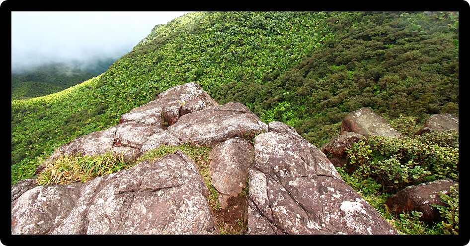 View of the Puerto Rican landscape from the El Yunque Peak.