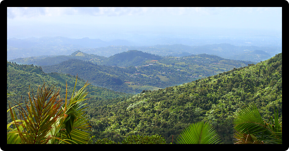 View of the Puerto Rican landscape from El Yunque Peak.