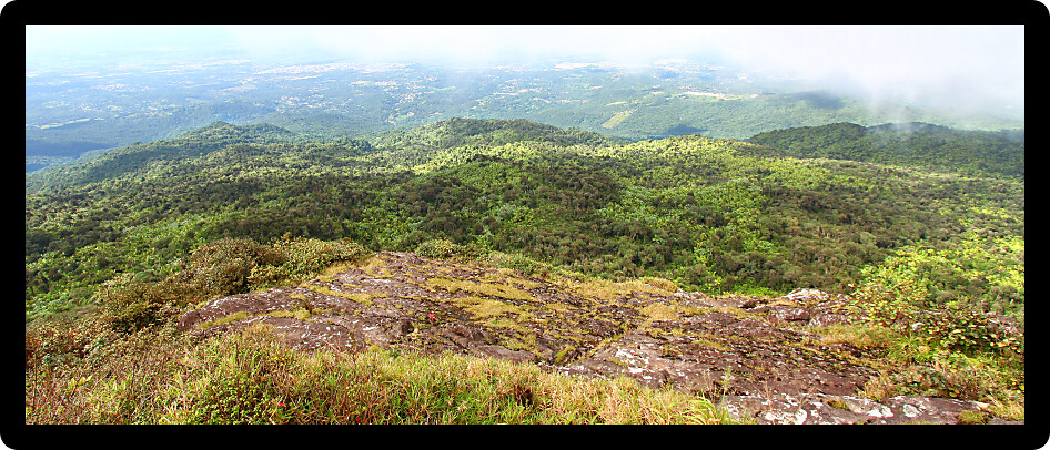 View of the Puerto Rican landscape from El Yunque Peak.