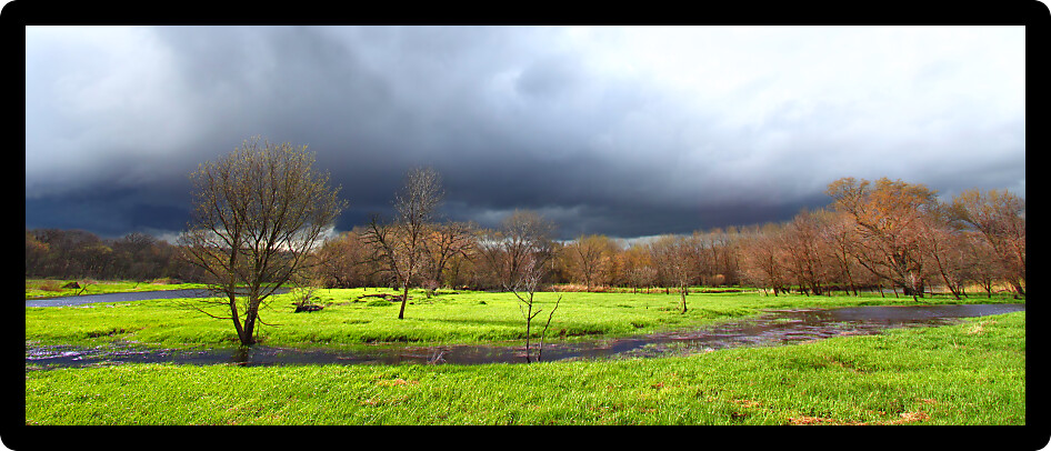Dark clouds precede a spring thunderstorm over an Illinois wetland.