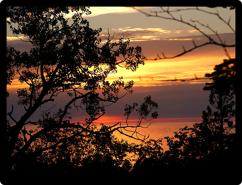 Beautiful Lake Superior sunset framed through vegetation.