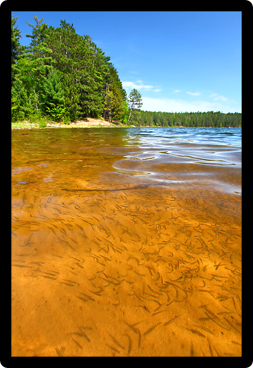 Beautiful sunny day on a northwoods Wisconsin Lake.