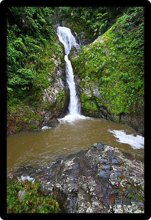 Beautiful Dona Juana Falls in the Cordillera Central rainforests of Puerto Rico.