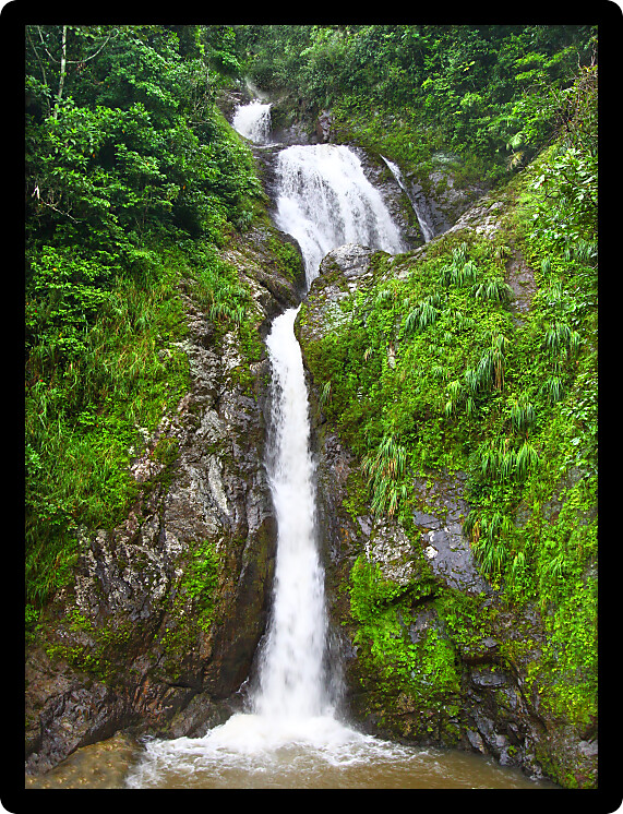 Beautiful Dona Juana Falls in the Cordillera Central rainforests of Puerto Rico.