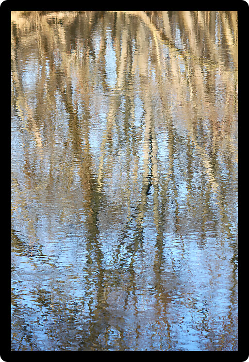 Trees reflect off the surface of the Kishwaukee River in northern Illinois.