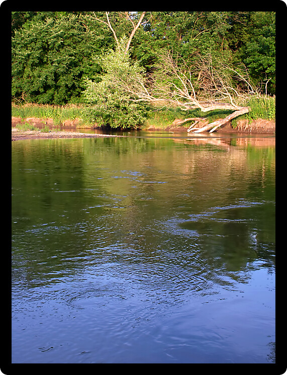 Blue skies reflect off the Kishwaukee river in northern Illinois.