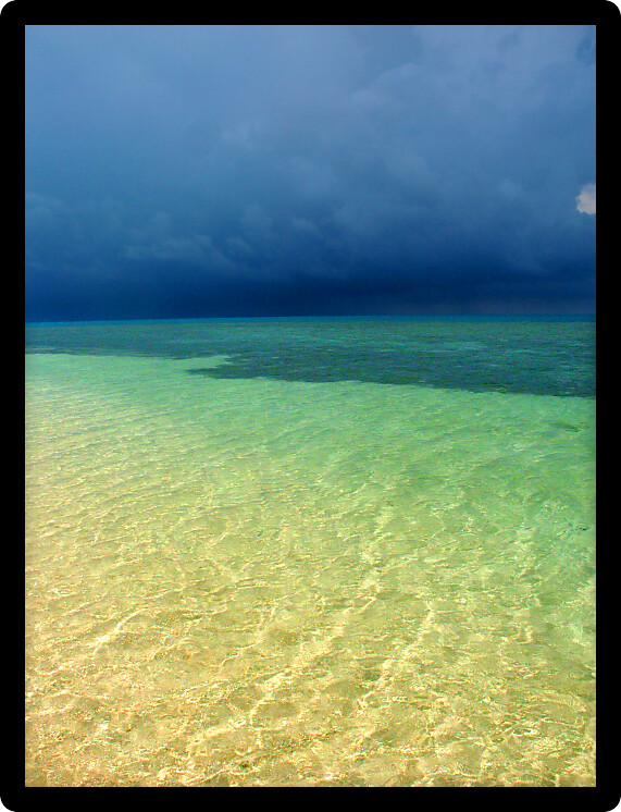 Tropical beach on the Low Isles in beautiful Queensland Australia.