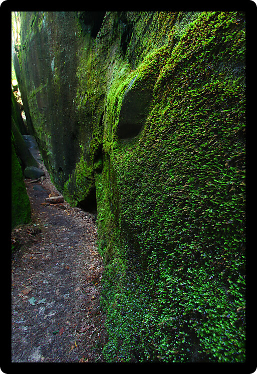 Mossy narrow corridor through giant rocks in Alabama.