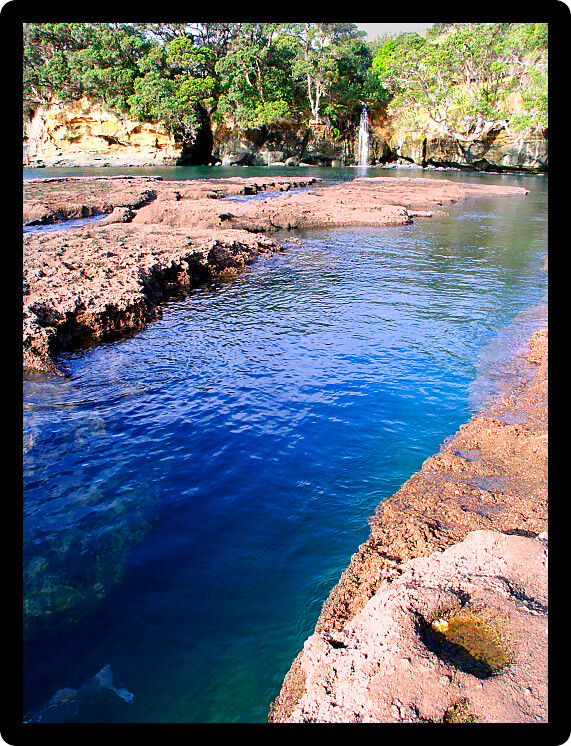 Waterfall flows into the ocean at Goat Island Marine Reserve on the North Island of New Zealand.