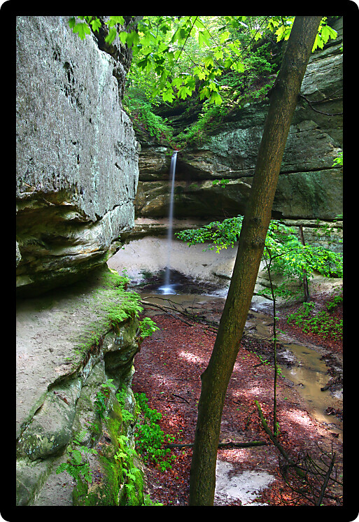 Springtime scene at Owl Canyon of Starved Rock State Park in Illinois.