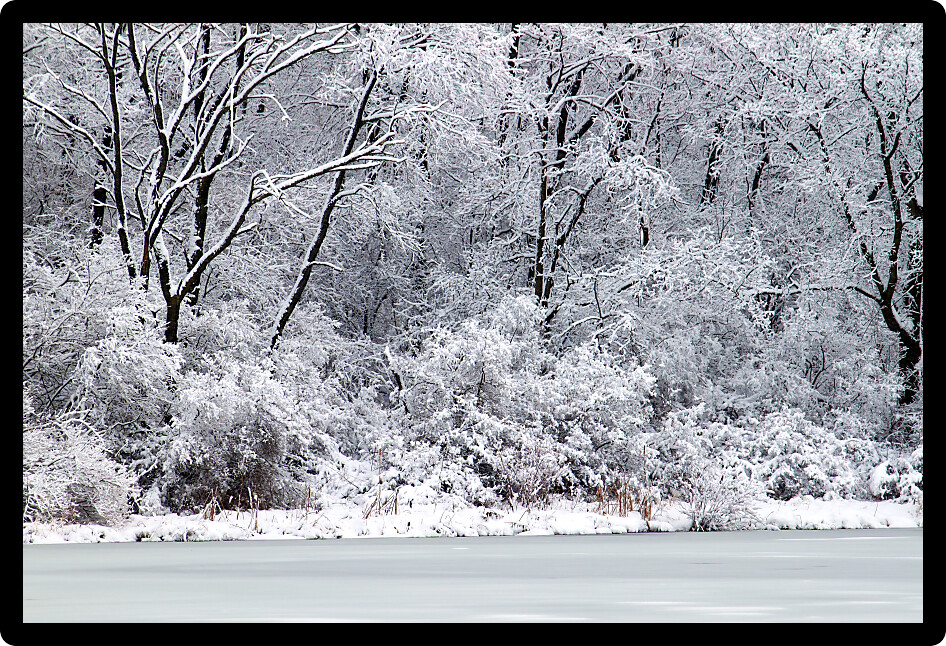 Freshly fallen snow on Pierce Lake at Rock Cut State Park in Illinois.