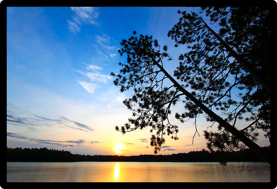 Beautiful sunset seen through pine trees over a northwoods Wisconsin lake.