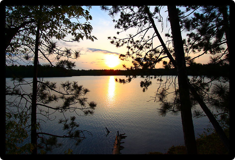 Beautiful sunset seen through pine trees over a northwoods Wisconsin lake.