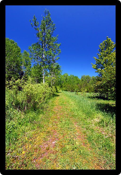 Trail winds through the Porcupine Mountains Wilderness State Park in Michigan.
