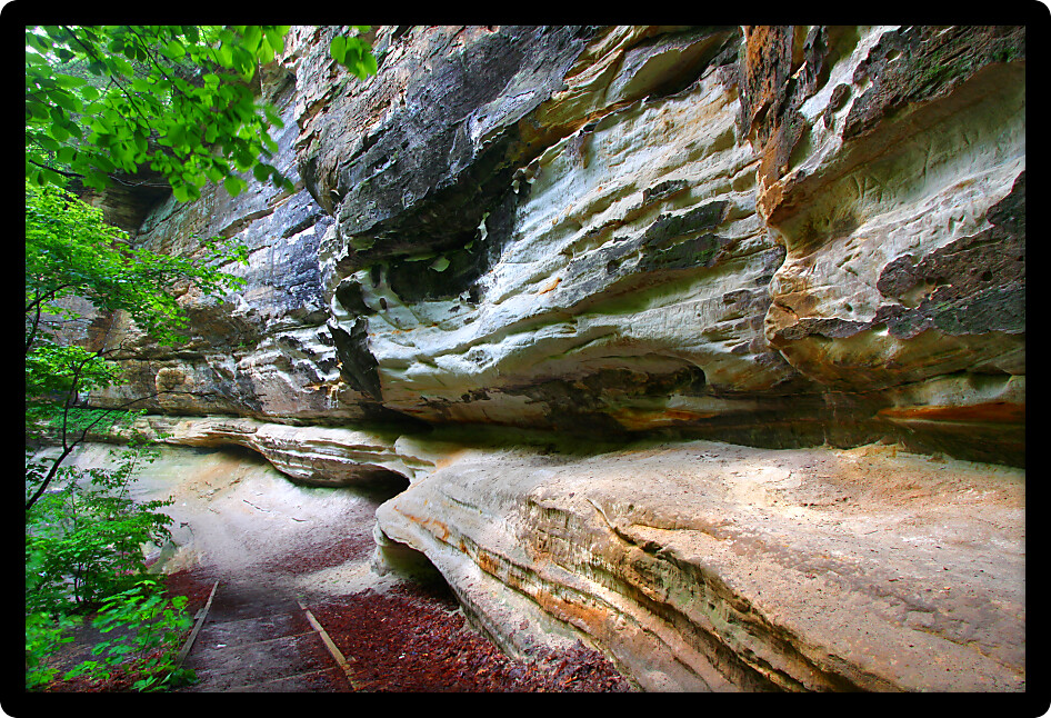Steep stone cliff in a canyon of Starved Rock State Park in Illinois.