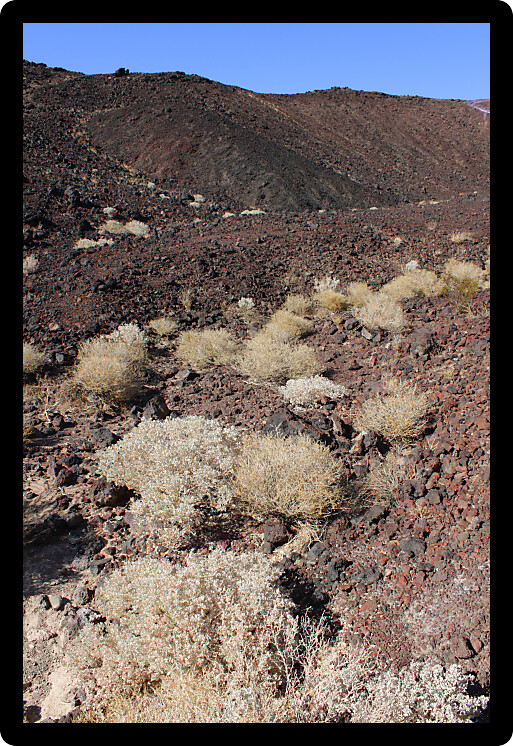 Volcanic rock scatters the center of Amboy Crater in the deserts of southern California.