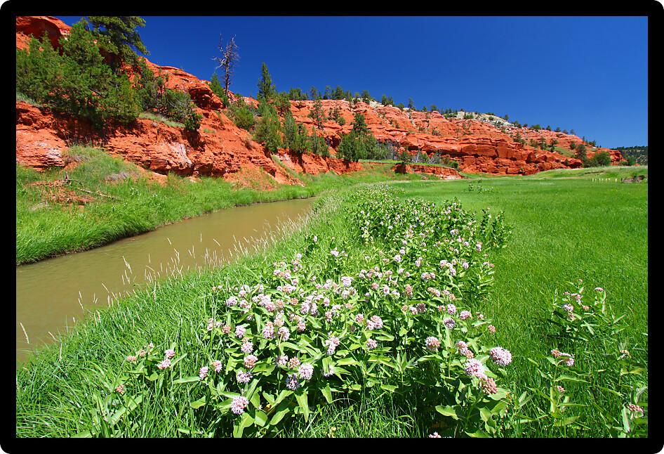 Belle Fourche River flows through beautiful red rock at Devils Tower National Monument Wyoming.