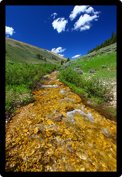 Pristine mountain stream flows through the Bighorn National Forest.