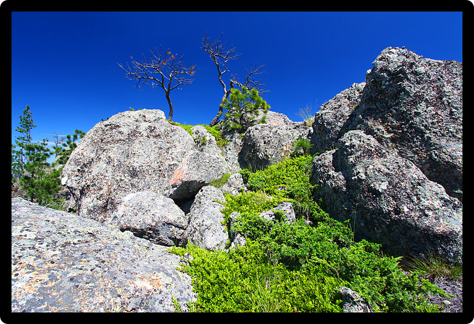 Large boulders dominate the landscape of the Black Hills National Forest in South Dakota.