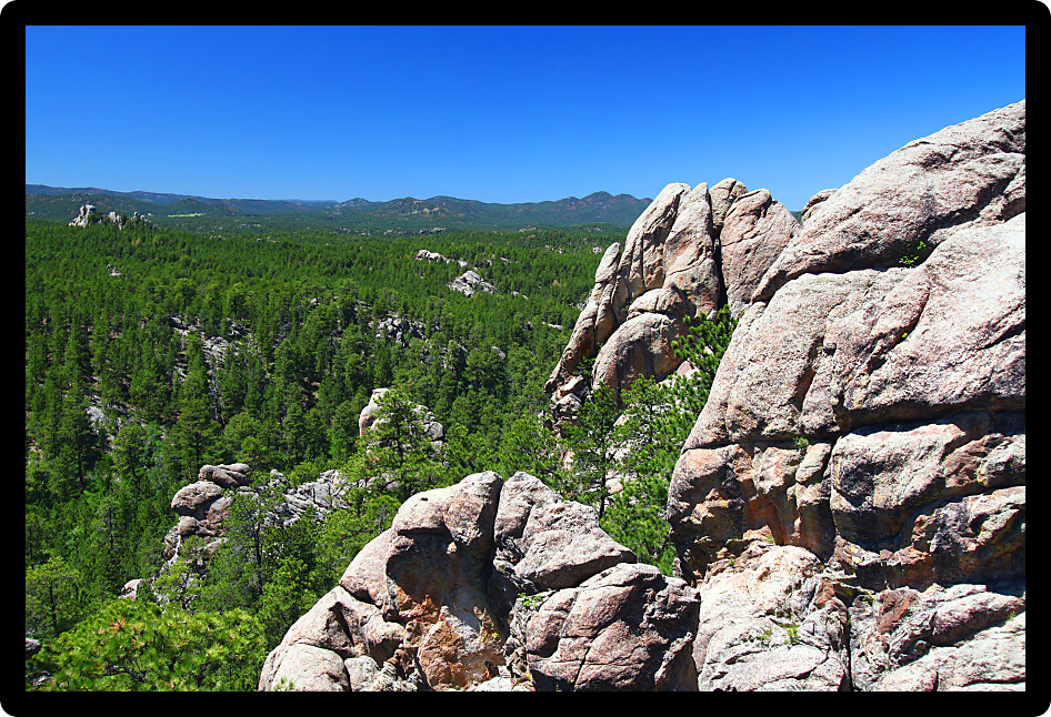 Rock formations scatter the pine forests of Black Hills National Forest in South Dakota.
