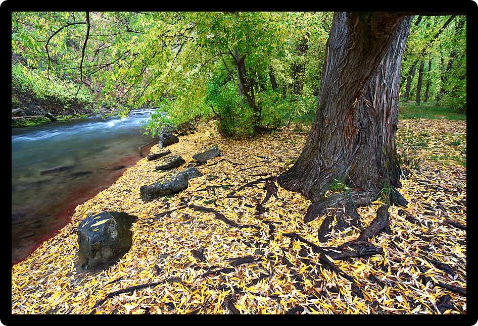 Beautiful Cache River flows through the Cache National Forest of northern Utah.