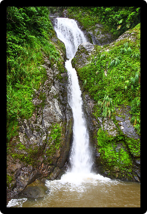 Beautiful Dona Juana Falls in the Cordillera Central rainforests of Puerto Rico.