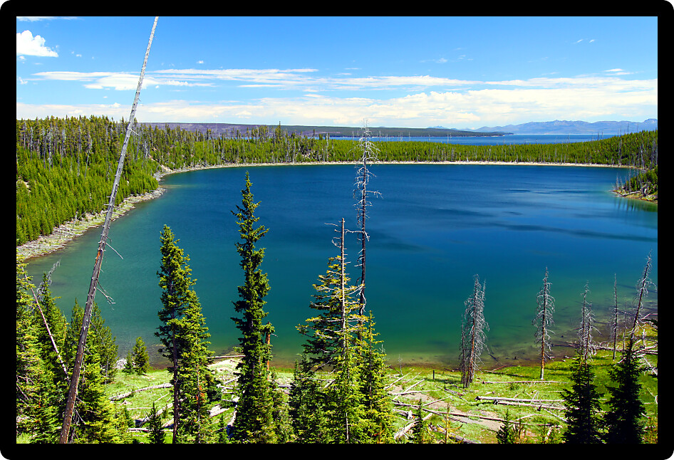 Duck Lake lit by bright sunlight in Yellowstone National Park of Wyoming.