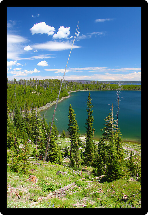 Duck Lake on a sunny day in Yellowstone National Park of Wyoming.