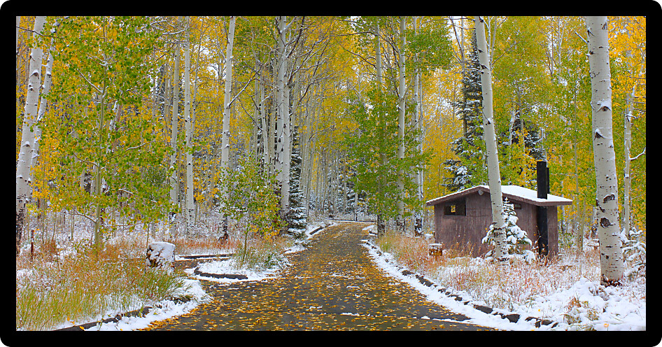 Early snowfall at the Sunrise Campground of Cache National Forest in Utah.
