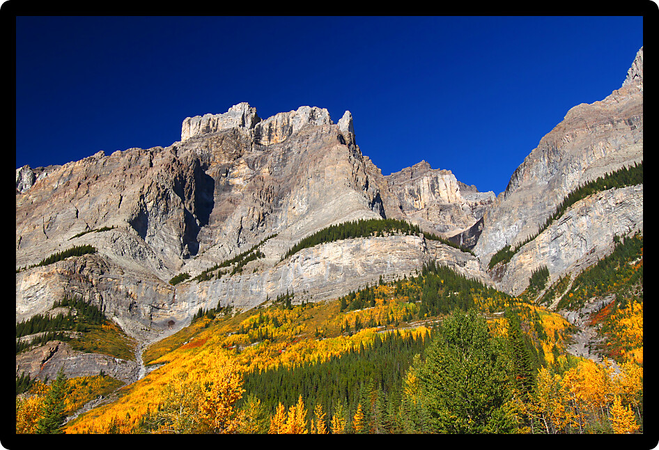 Fall foliage amidst jagged mountain peaks of Mount Wilson at Banff National Park in Alberta Canada.