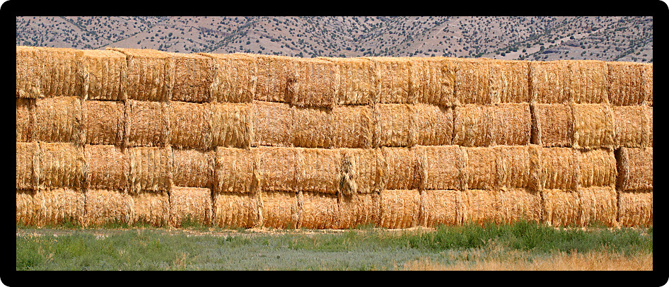Bales of hay piled high in the farmlands of Idaho.
