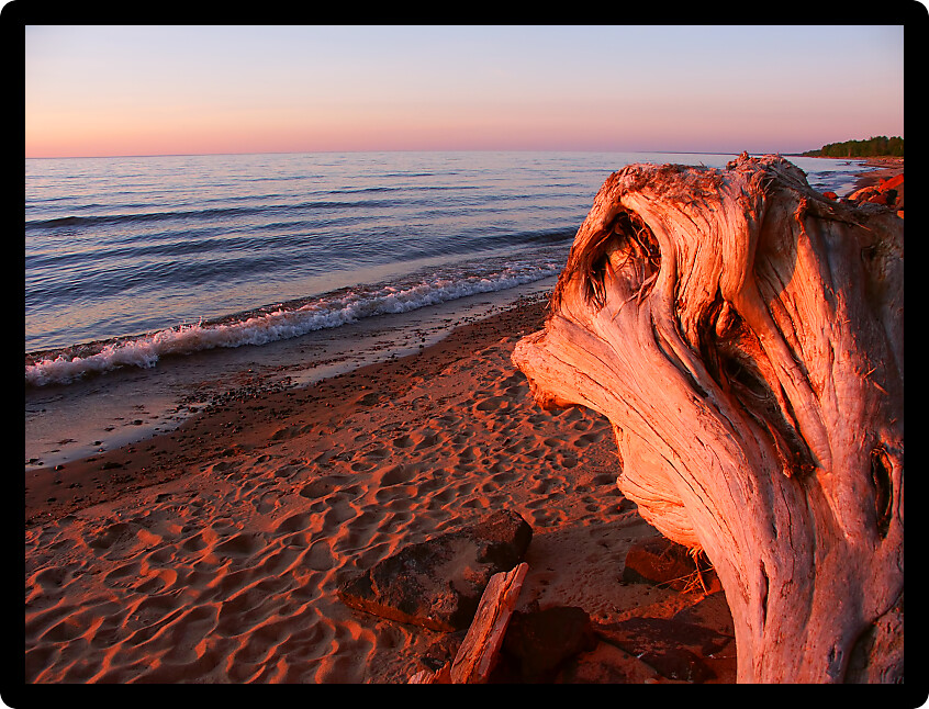 Driftwood washed up along the shoreline of Lake Superior in the Upper Peninsula of Michigan.