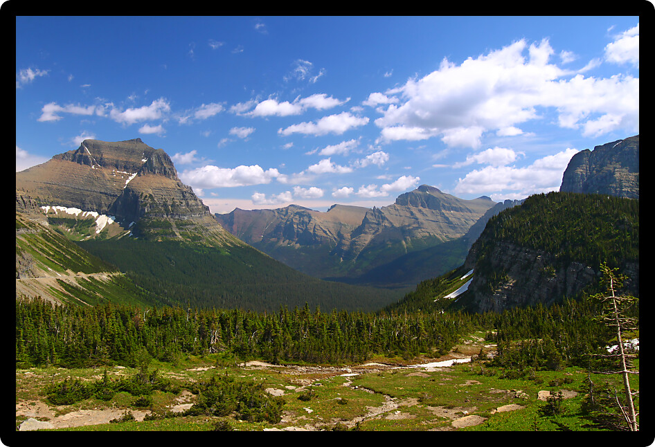 Vast mountainous forests seen from Logan Pass at Glacier National Park Montana.
