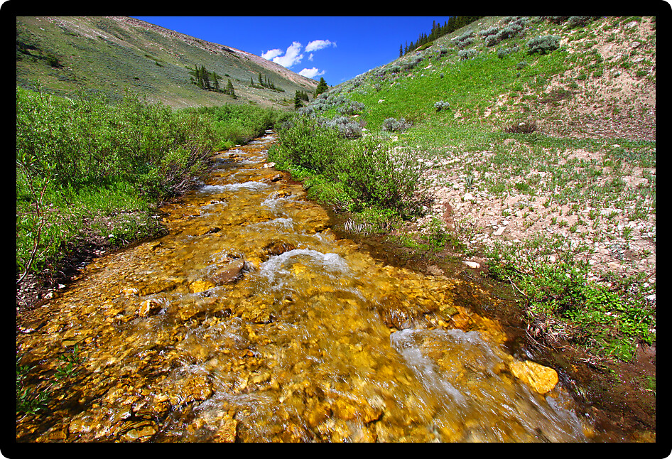 Pristine mountain stream flows through the Bighorn National Forest USA.