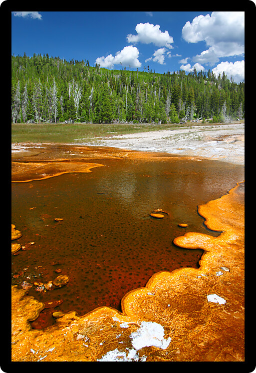 Bright orange colors of thermophilic bacteria in the Upper Geyser Basin of Yellowstone National Park.
